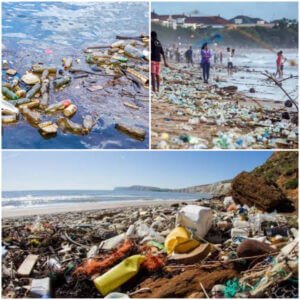 Top 10 Ocean Plastic Waste Polluters