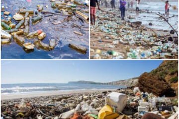 Top 10 Ocean Plastic Waste Polluters